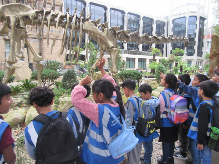 Y3 trip to the Natural History Museum